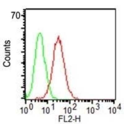 Flow Cytometry: CD34 Antibody (ICO-115) [NBP2-29455]