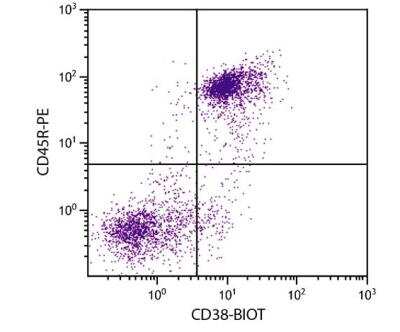 Flow Cytometry: CD38 Antibody (NIMR-5) - Azide and BSA Free [NBP1-27951]