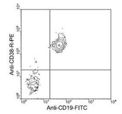 Flow Cytometry: CD38 Antibody (NIMR-5) - Low Endotoxin, Azide and BSA Free [NBP2-59506]