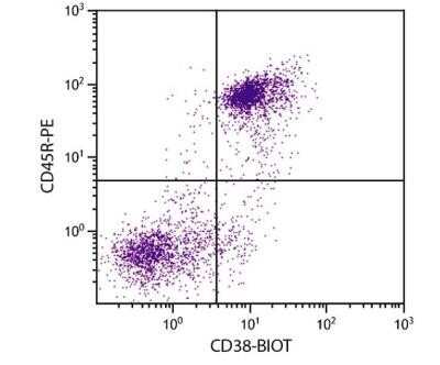 Flow Cytometry: CD38 Antibody (NIMR-5) - Low Endotoxin, Azide and BSA Free [NBP2-59506]