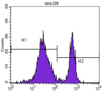 Flow Cytometry: CD4 Antibody (B486A1) - Azide and BSA Free [NBP2-80646]