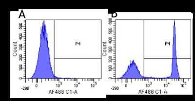 Flow Cytometry: CD4 Antibody (CE9.1 (Clenoliximab)) - Chimeric - Azide and BSA Free [NBP2-52681]