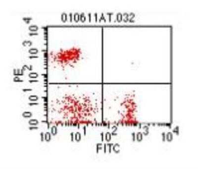 Flow Cytometry: CD4 Antibody (CT-4) - Azide and BSA Free [NBP1-28266]
