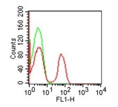Flow (Cell Surface): CD4 Antibody (RPA-T4) - Azide and BSA Free [NBP2-27216]