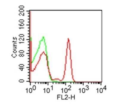 Flow Cytometry: CD4 Antibody (RPA-T4) - Azide and BSA Free [NBP2-25199]