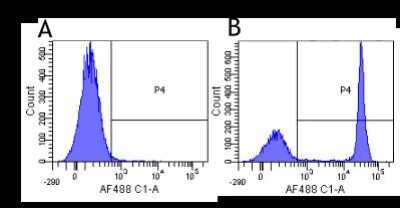 Flow Cytometry: CD4 Antibody (YNB46.1.8 (Campath-9H)) - Chimeric - Azide and BSA Free [NBP2-52658]