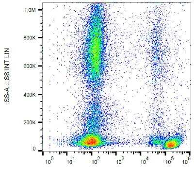 Flow Cytometry: Integrin beta 3/CD61 Antibody (VIPL2) - BSA Free [NBP1-97563]