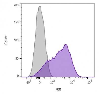 Flow Cytometry: CD45 Antibody (136-4B5) [NBP2-44840]