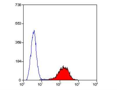 Flow Cytometry: CD47 Antibody (OX-101) - BSA Free [NB100-66632]