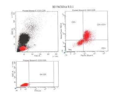 Flow Cytometry: CD5 Antibody (CD5/54/F6) [NBP2-32824]