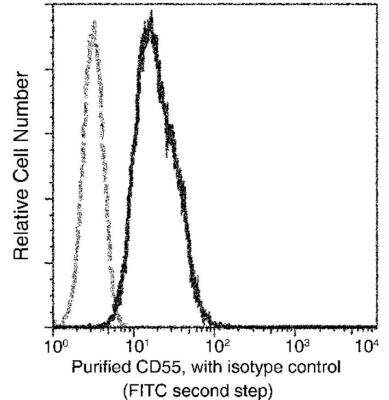 Flow Cytometry: CD55/DAF Antibody (028) [NBP2-89269]