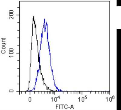 Flow Cytometry: CD55/DAF Antibody (LU30) - Chimeric - Azide and BSA Free [NBP2-62562]
