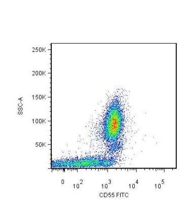 Flow (Cell Surface): CD55/DAF Antibody (MEM-118) [NB500-395]