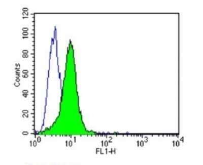 Flow Cytometry: CD58/LFA-3 Antibody (TS2/9) - Azide and BSA Free [NBP2-22542]