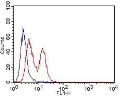 Flow Cytometry: CD63 Antibody (7G4.2E8) - BSA Free [NBP2-36567]