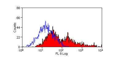 Flow Cytometry: CD63 Antibody (AD1) - BSA Free [NBP2-68077]