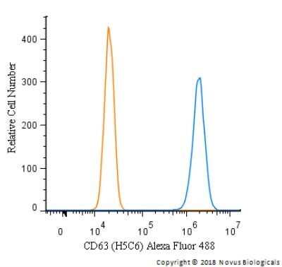 Flow Cytometry: CD63 Antibody (H5C6) - Azide and BSA Free [NBP2-80654]