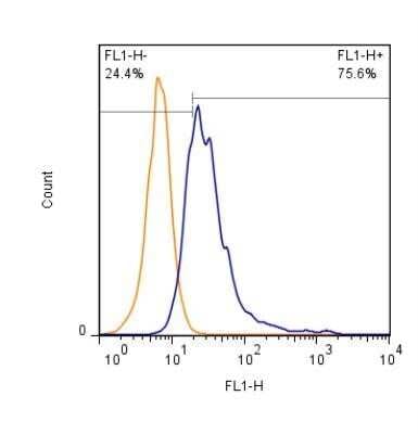 Flow Cytometry: CD63 Antibody (H5C6) - Azide and BSA Free [NBP2-80654]
