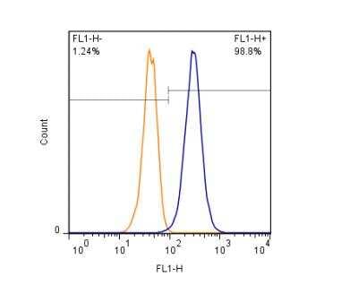 Flow Cytometry: CD63 Antibody (H5C6) - BSA Free [NBP2-42225]