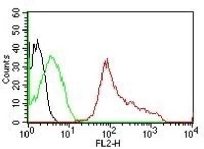Flow Cytometry: CD63 Antibody (MX-49.129.5) [NBP2-32830]