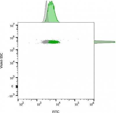 Flow Cytometry: CD63 Antibody (MX-49.129.5) [NBP2-32830]