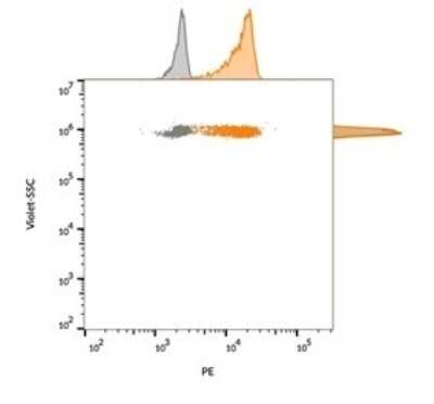 Flow Cytometry: CD63 Antibody (MX-49.129.5) [NBP2-32830]