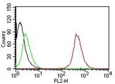 Flow Cytometry: CD63 Antibody (SPM524) - Azide and BSA Free [NBP2-34779]
