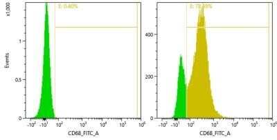 Flow Cytometry: CD68/SR-D1 Antibody (SPM130) [NBP2-32831]