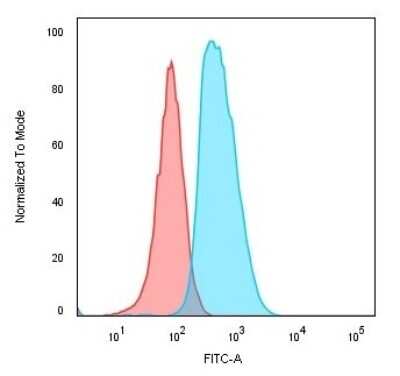 Flow Cytometry: CD74 Antibody (SPM523) [NBP2-32947]