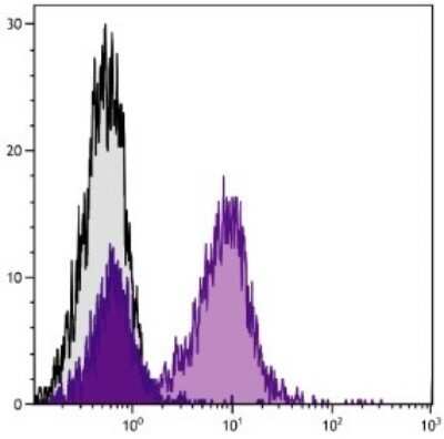 Flow Cytometry: CD79B Antibody (HM79-12) - Azide and BSA Free [NBP1-28140]