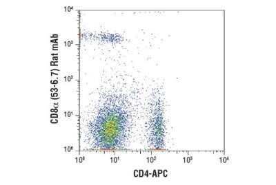Flow Cytometry: CD8 Antibody (53-6.7) - Azide and BSA Free [NBP2-80658]