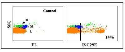 Flow Cytometry: CD8 Antibody (ISC29E) [NBP2-60946]