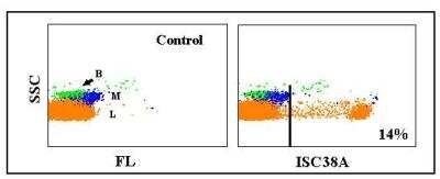Flow Cytometry: CD8 Antibody (ISC38A) [NBP2-60947]