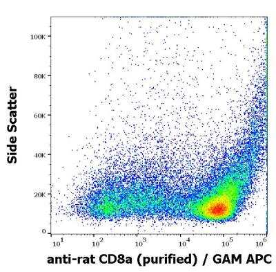 Flow Cytometry: CD8 Antibody (OX-8) - BSA Free [NBP2-12523]