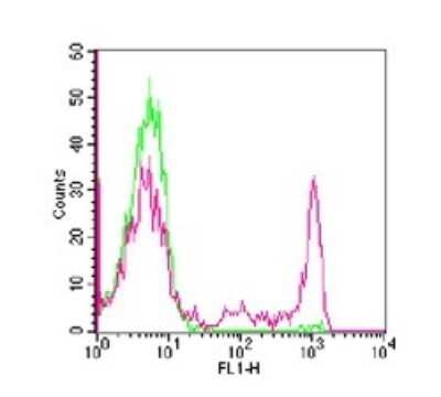 Flow Cytometry: CD8 Antibody (RPA-T8) - Azide and BSA Free [NBP2-80659]