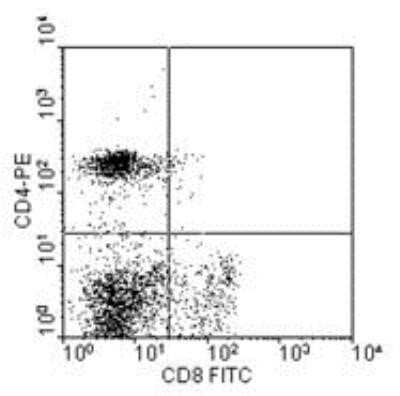 Flow Cytometry: CD8 Antibody (76-2-11) - Azide and BSA Free [NBP1-28237]