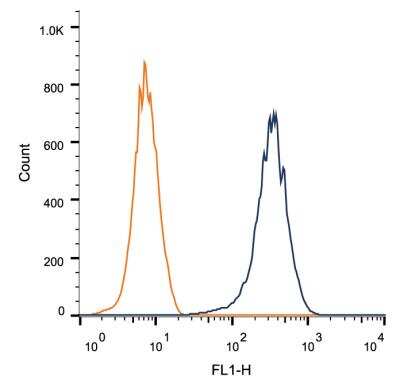 Flow Cytometry: CD81 Antibody (1D6) - BSA Free [NB100-65805]