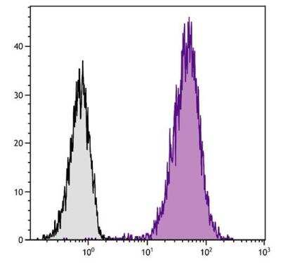 Flow Cytometry: CD81 Antibody (2F7) - Azide and BSA Free [NBP1-28136]
