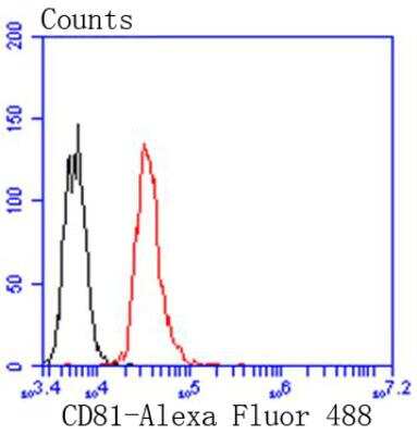 Flow Cytometry: CD81 Antibody (SN206-01) [NBP2-67722]