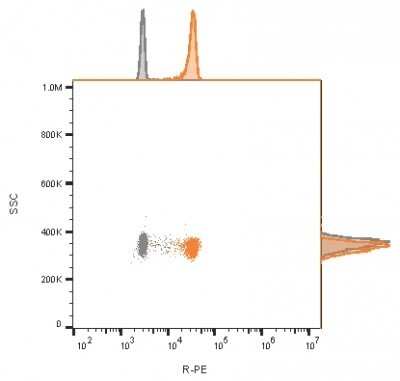 Flow Cytometry: CD81 Antibody (rC81/3442) - Azide and BSA Free [NBP3-08795]
