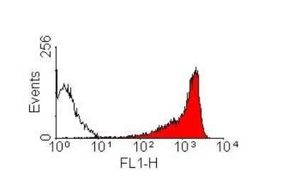 Flow Cytometry: CD90/Thy1 Antibody (OX-7) - Azide and BSA Free [NBP2-80661]