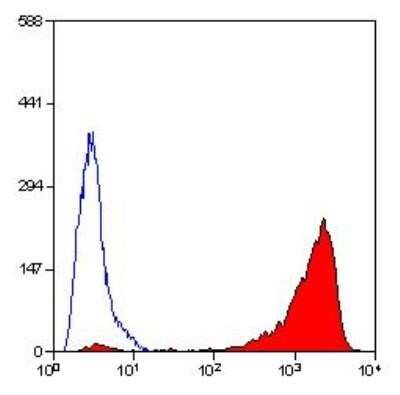 Flow Cytometry: CD90/Thy1 Antibody (OX-7) - Azide and BSA Free [NBP2-80661]