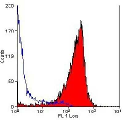 Flow Cytometry: CD90/Thy1 Antibody (OX-7) - Azide and BSA Free [NBP2-80661]