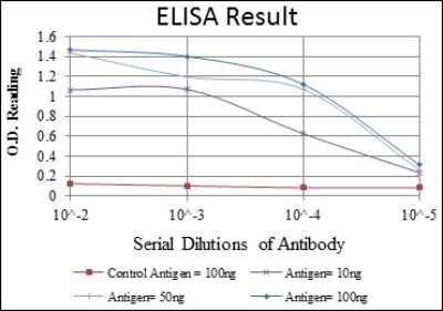ELISA: CD94 Antibody (1H1) - BSA Free [NBP2-37632]