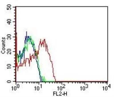 Flow (Cell Surface): CD98 Antibody (1C11.7E3) - Azide and BSA Free [NBP2-80662]