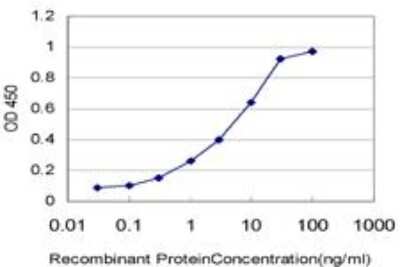 ELISA: CDC2/CDK1 Antibody (8F1) [H00000983-M04]