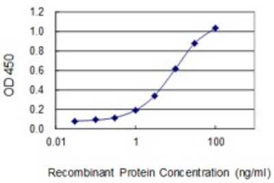 ELISA: CDC2L5 Antibody (1B3-1B11) [H00008621-M01]