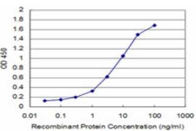ELISA: CDC42BPB Antibody (2D8) [H00009578-M04]