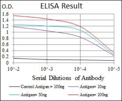 ELISA: CDK2 Antibody (1A6) - BSA Free [NBP2-37507]