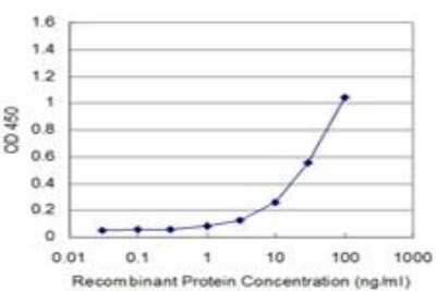 ELISA: CDK4 Antibody (8A10) [H00001019-M09]